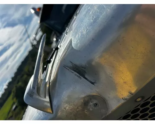 PETERBILT 389 Hood