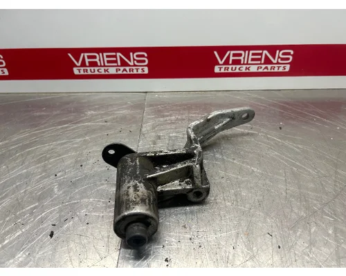 PETERBILT 389 Pedal 