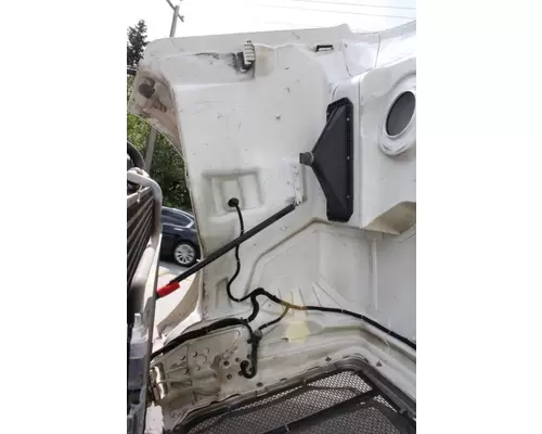 PETERBILT 567 Hood