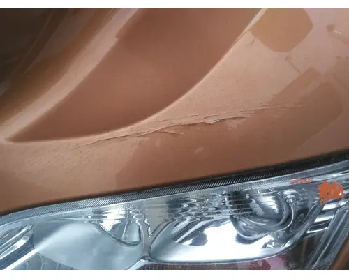 PETERBILT 579 2012-2022 HOOD