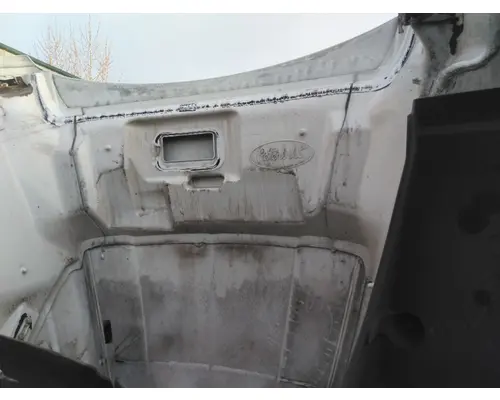 PETERBILT 579 2012-2022 HOOD