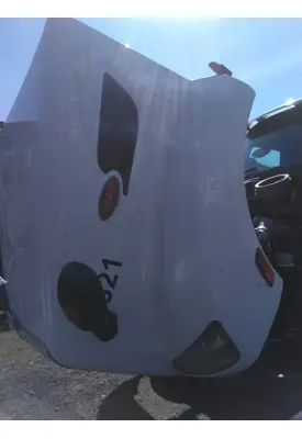 PETERBILT 579 2012-2022 HOOD