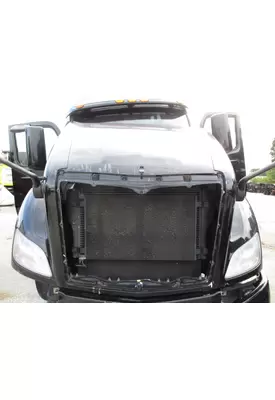 PETERBILT 579 2012-2022 HOOD