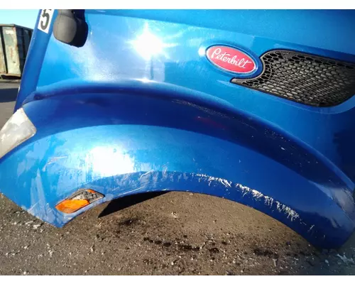 PETERBILT 579 2012-2022 HOOD