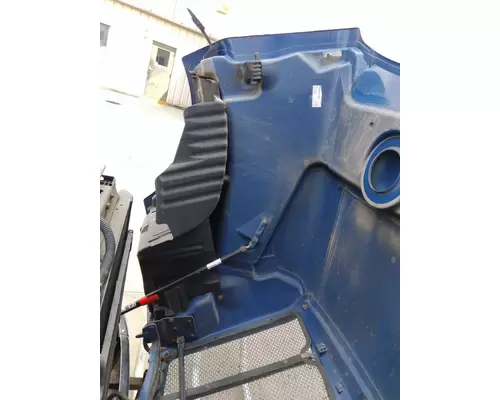 PETERBILT 579 2012-2022 HOOD