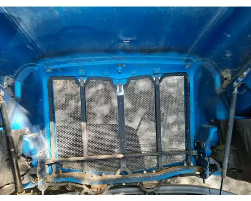 PETERBILT 579 2012-2022 HOOD