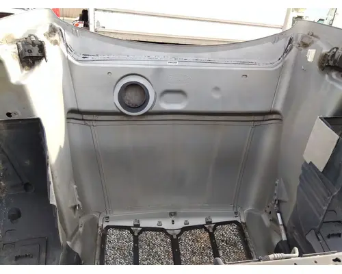 PETERBILT 579 2012-2022 HOOD