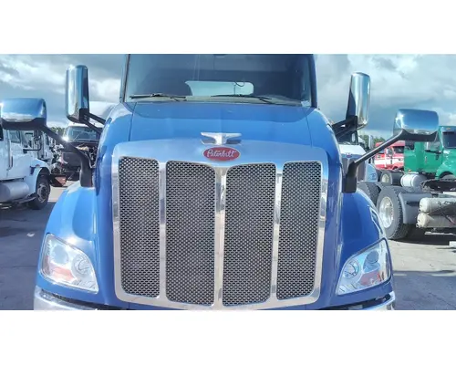 PETERBILT 579 2012-2022 HOOD