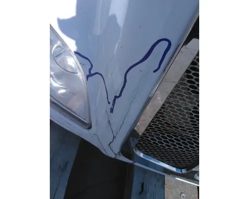 PETERBILT 579 2012-2022 HOOD