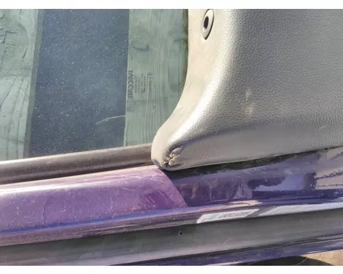 PETERBILT 579 2013-2026 DOOR ASSEMBLY, FRONT