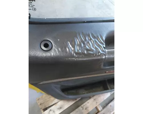 PETERBILT 579 2013-2026 DOOR ASSEMBLY, FRONT