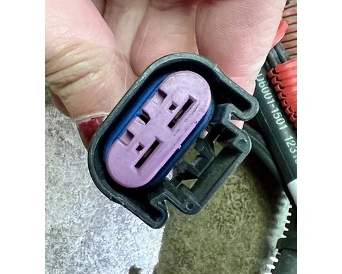 PETERBILT 579 Battery