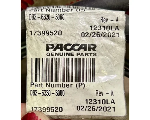 PETERBILT 579 Battery