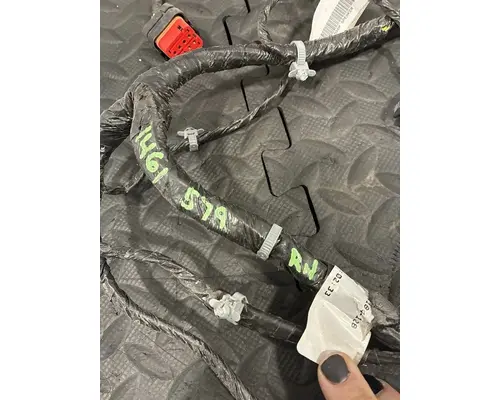 PETERBILT 579 Body Wiring Harness