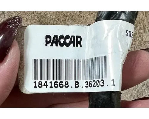 PETERBILT 579 Body Wiring Harness