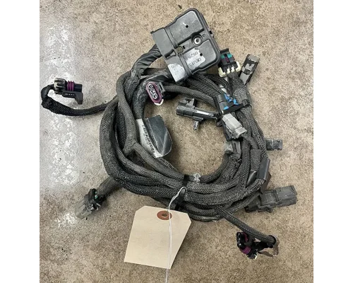 PETERBILT 579 Body Wiring Harness