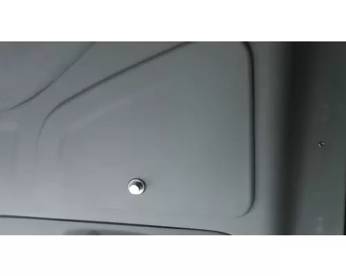 PETERBILT 579 DOOR, COMPARTMENT