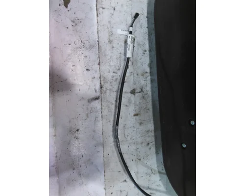 PETERBILT 579 DOOR, COMPARTMENT