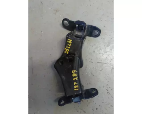 PETERBILT 579 DOOR HINGE