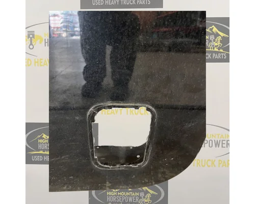 PETERBILT 579 Door Assembly, Rear or Back