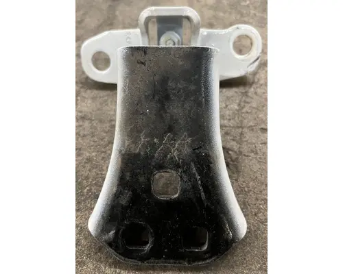 PETERBILT 579 Door Hinge, Front
