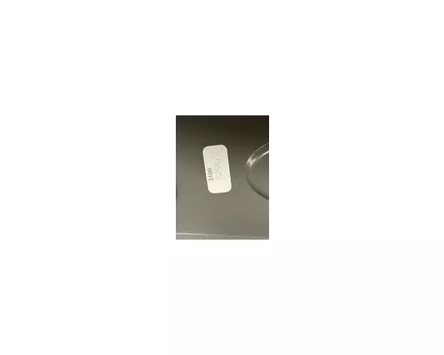 PETERBILT 579 Door Panel (Trim)