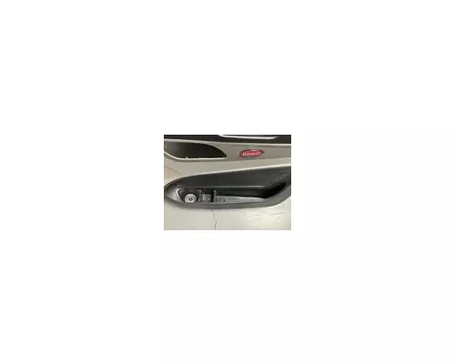 PETERBILT 579 Door Panel (Trim)