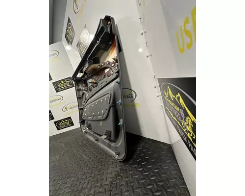 PETERBILT 579 Door Panel (Trim)