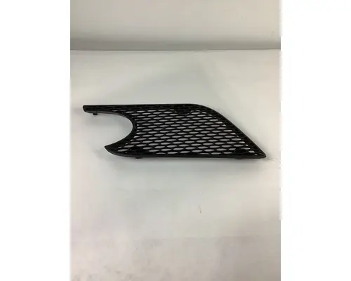 PETERBILT 579 HOOD PARTS