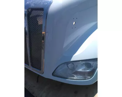 PETERBILT 579 HOOD