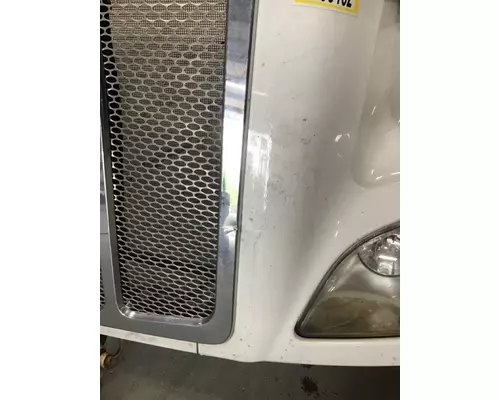 PETERBILT 579 HOOD