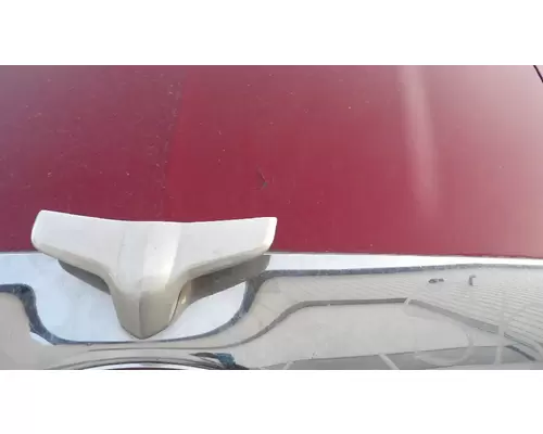 PETERBILT 579 HOOD