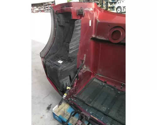 PETERBILT 579 HOOD