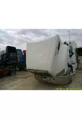 PETERBILT 579 HOOD