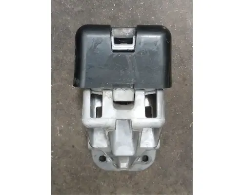 PETERBILT 579 Hood Trim & Misc. Parts