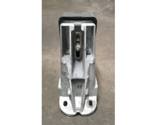PETERBILT 579 Hood Trim & Misc. Parts