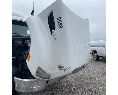 PETERBILT 579 Hood