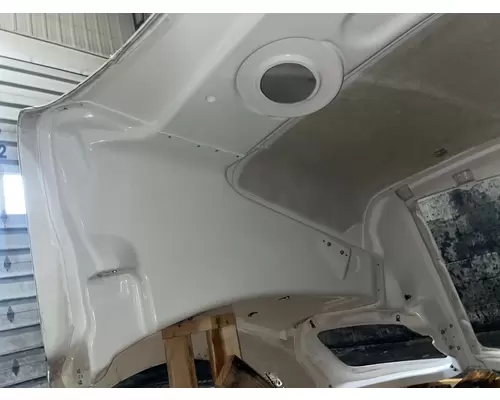 PETERBILT 579 Hood