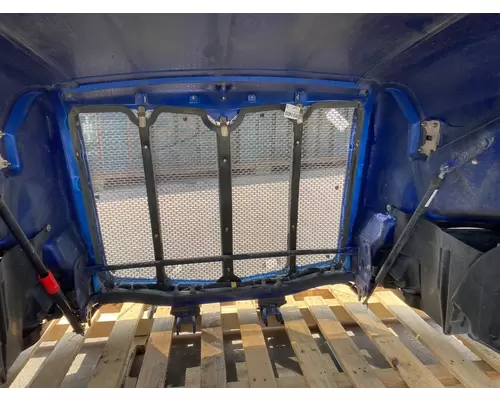 PETERBILT 579 Hood