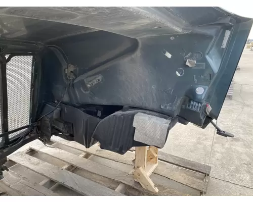PETERBILT 579 Hood