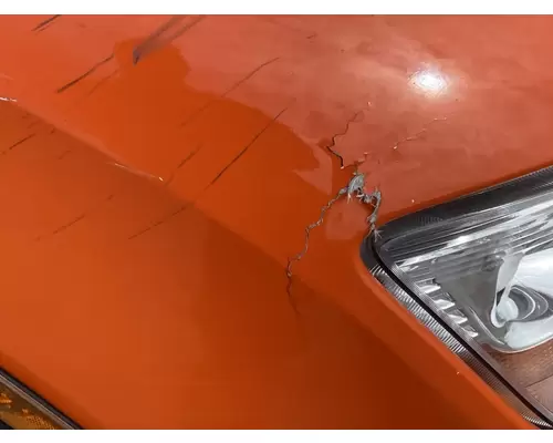 PETERBILT 579 Hood