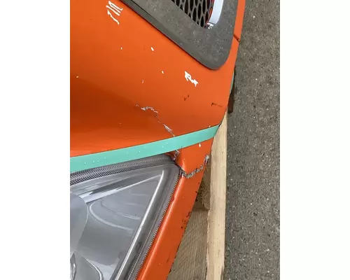 PETERBILT 579 Hood