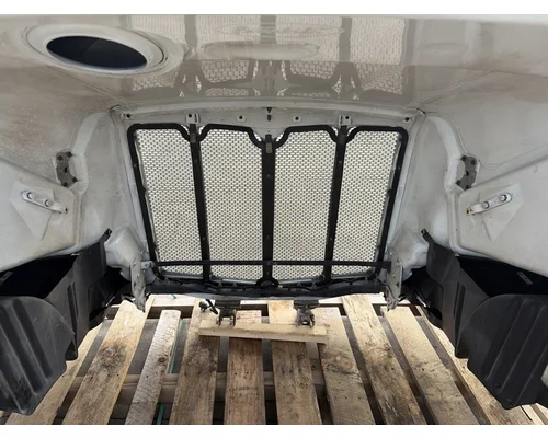 PETERBILT 579 Hood