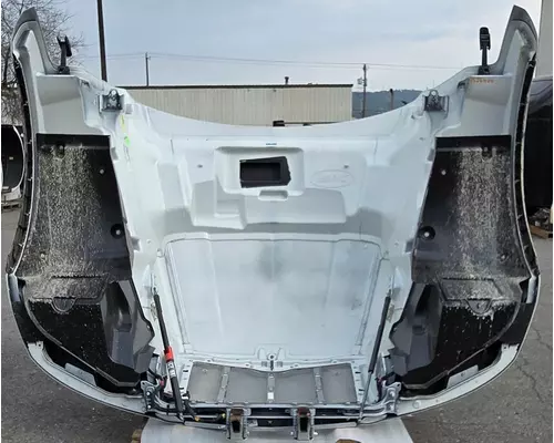 PETERBILT 579 Hood