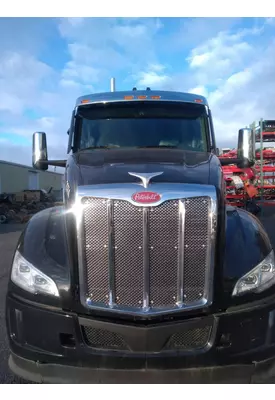 PETERBILT 579 Hood