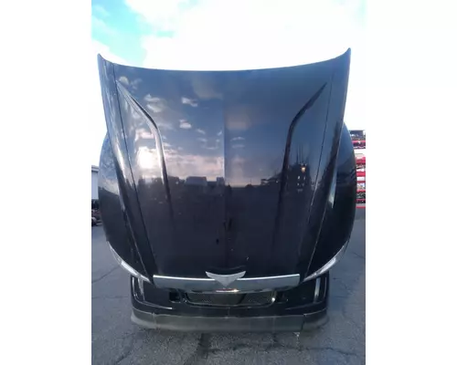 PETERBILT 579 Hood