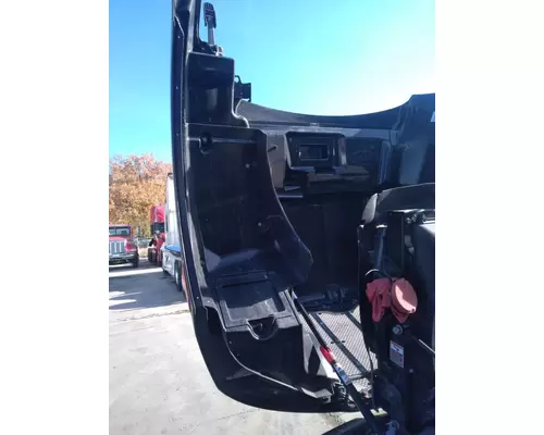 PETERBILT 579 Hood