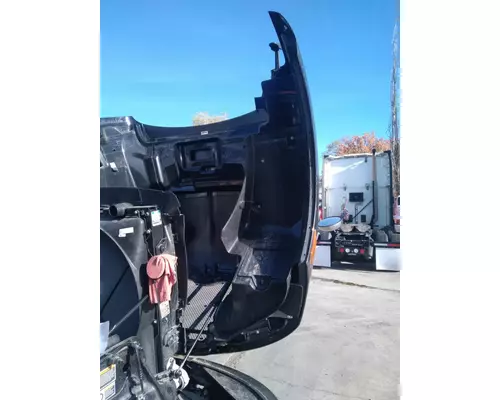 PETERBILT 579 Hood