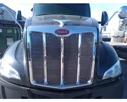 PETERBILT 579 Hood