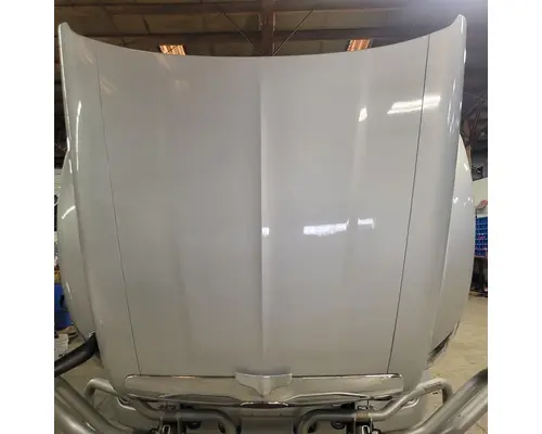 PETERBILT 579 Hood